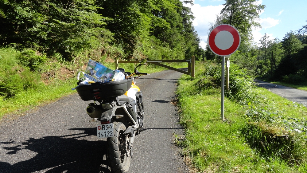 0927 Sapin de Marie-Louise, Col du 1.JPG